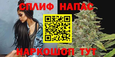 ГАЛЛЮЦИНОГЕННЫЕ ГРИБЫ Нальчик