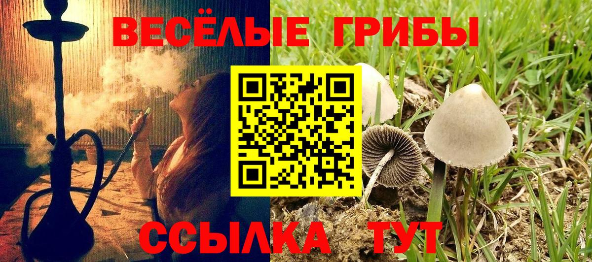 Псилоцибиновые грибы мицелий  Вход с VPN  Среднеуральск 